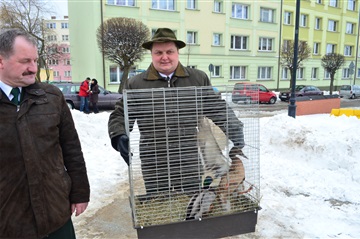 FINAŁ ROKU KACZKI