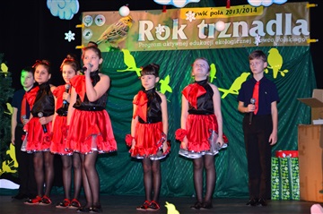 FINAŁ ROKU TRZNADLA